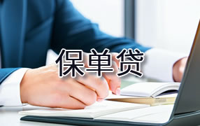 益阳保单贷