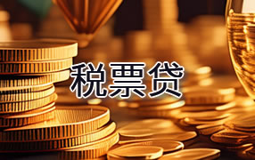 益阳税票贷